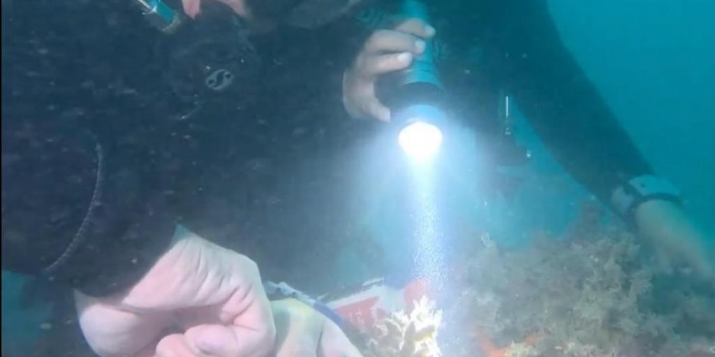 foto dell'installazione dei 9 sensori