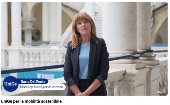 video mobility manager per SEM